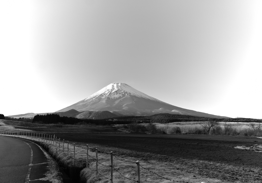 富士の裾野