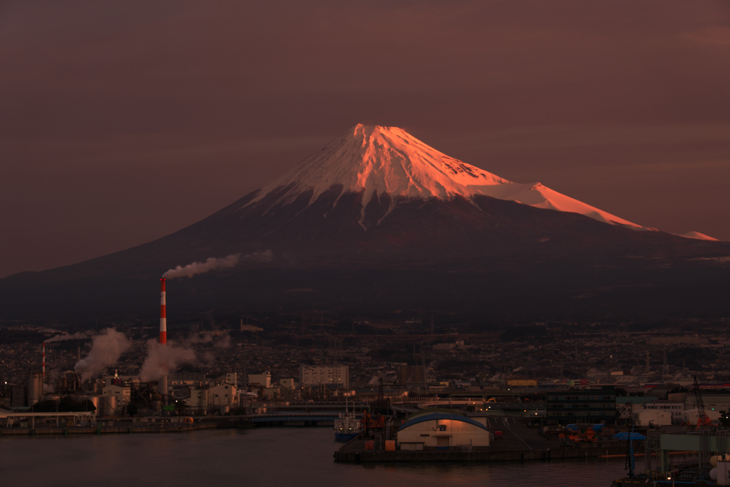 朝陽をあびて