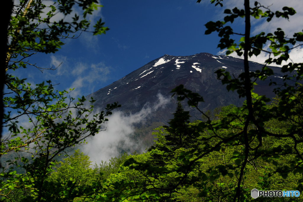 富士樹林帯から垣間見える山頂