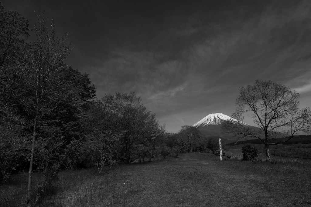富士山遊歩道須山口