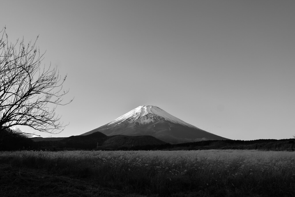 Mt Fuji