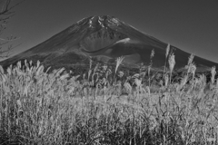 Mt Fuji