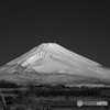 パノラマロードからの眺め