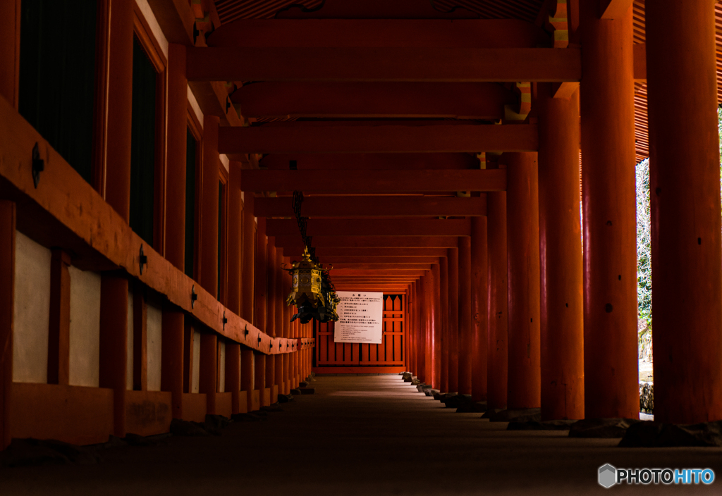 東大寺