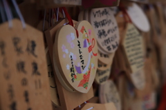 20191006161727_IMG_1982