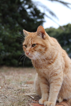 20200119161140_IMG_2423