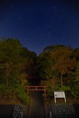 鳥居と星空