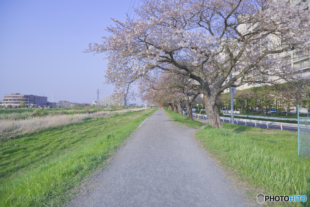ｰ河川敷ｰ
