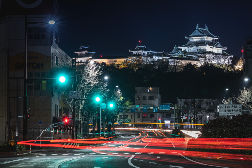 夜の和歌山城