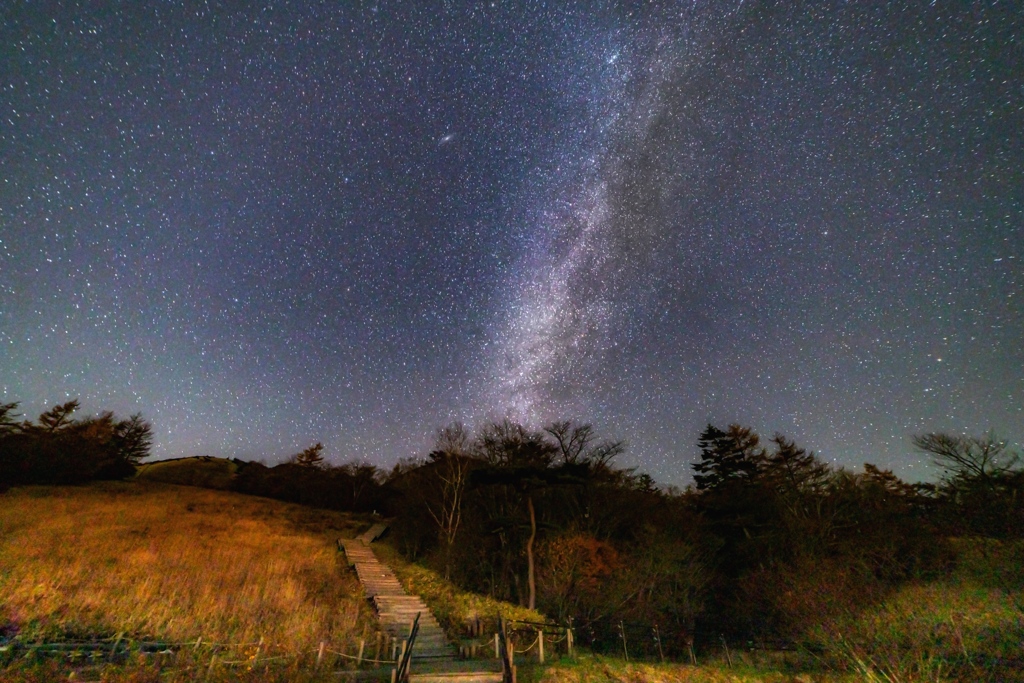 キスゲ平園地　北天の天の川