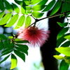 DSCF4337