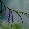 DSCF4482
