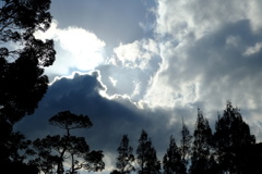 DSCF2505