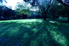 DSCF2535