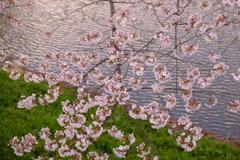DSCF3324