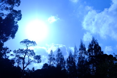 DSCF2529