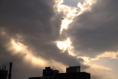 DSCF3388