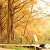 DSCF3066