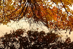 DSCF3087