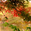 DSCF3091