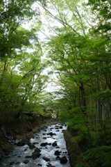 DSCF3615