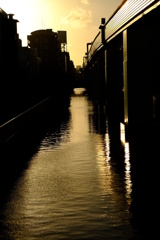 DSCF2710