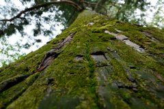 DSCF3632