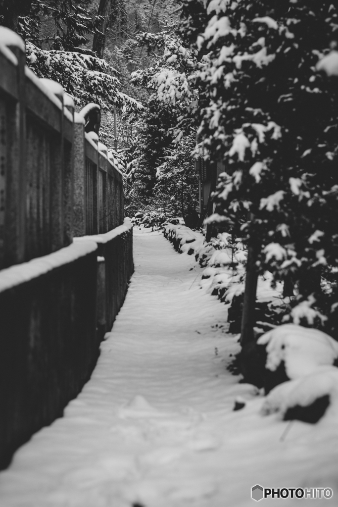 路地