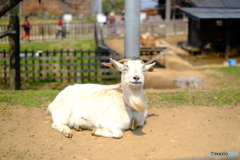 笑顔