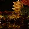 東寺×紅葉×ライトアップ②