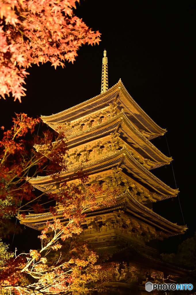 東寺×紅葉×ライトアップ①