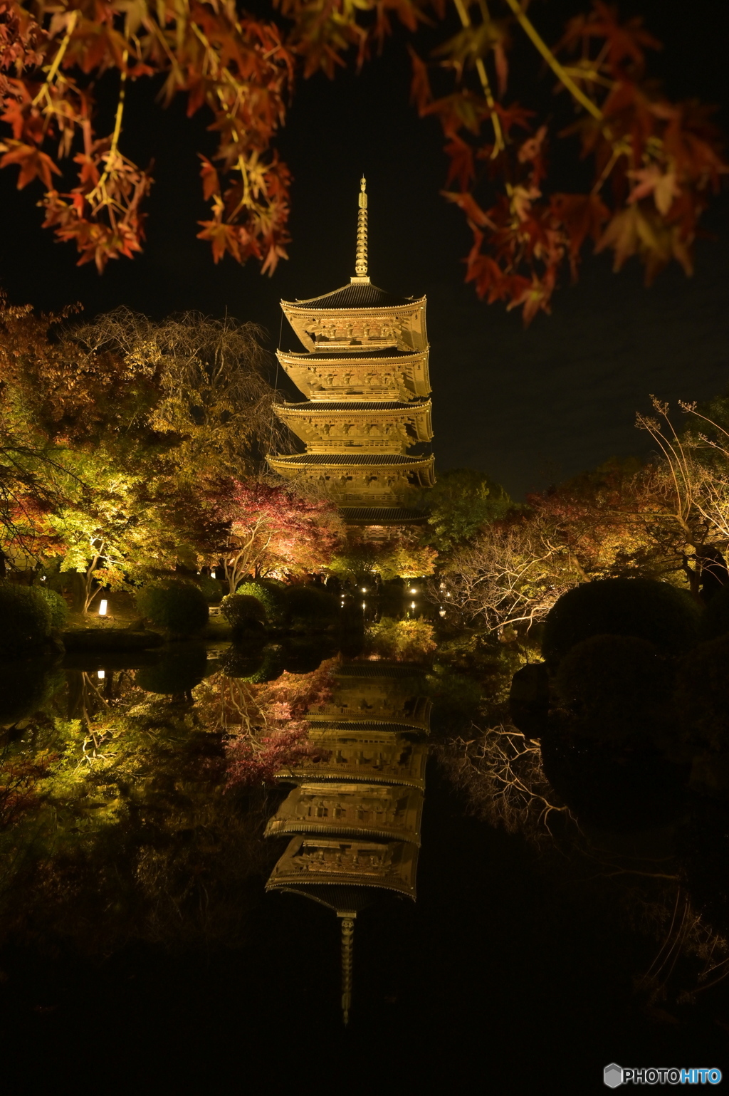 東寺×紅葉×ライトアップ×リフレクション