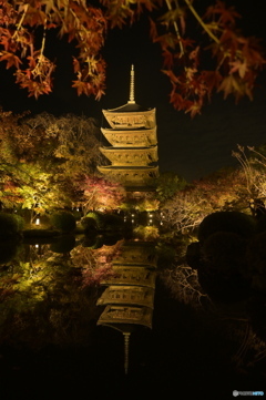 東寺×紅葉×ライトアップ×リフレクション