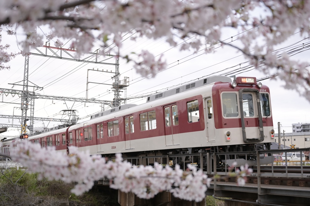 駆ける、春の中。