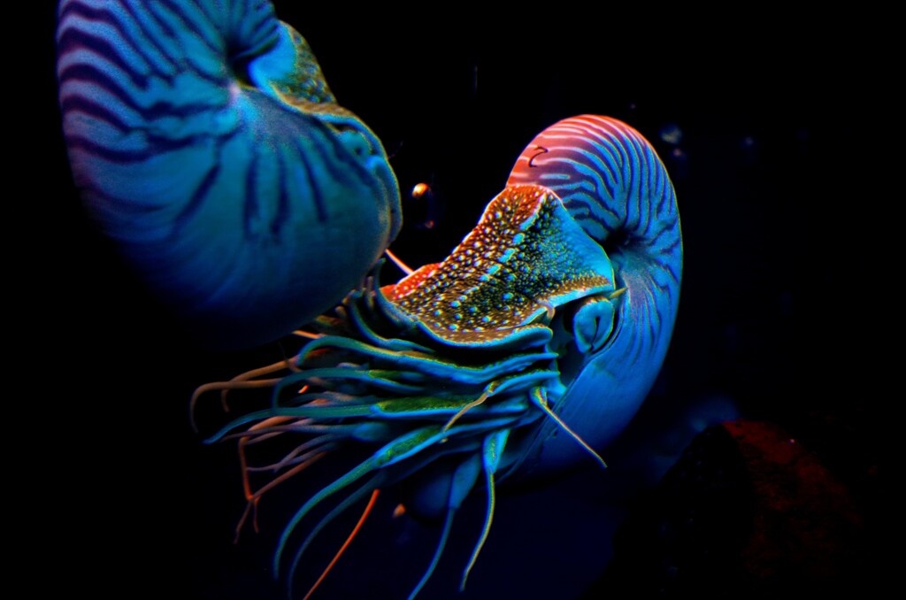 鳥羽水族館