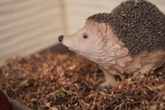 ん？
