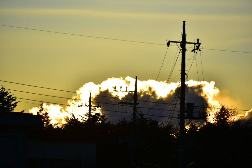 DSC_7289