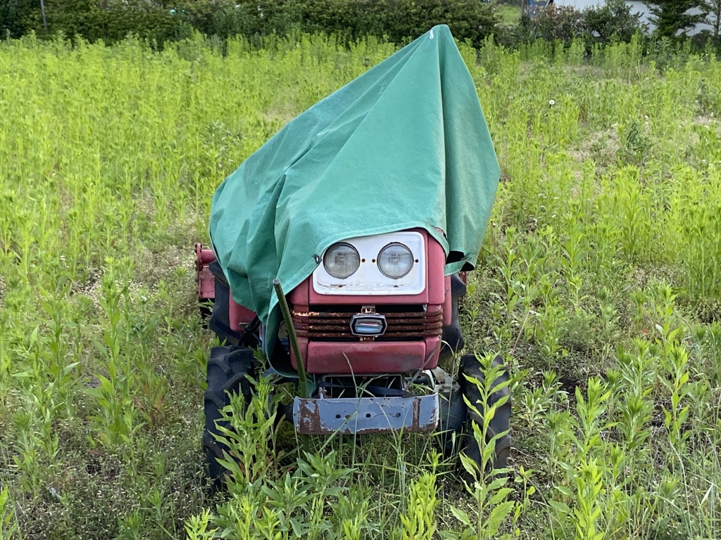 トラ