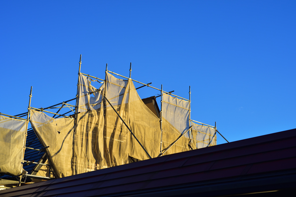 DSC_6358