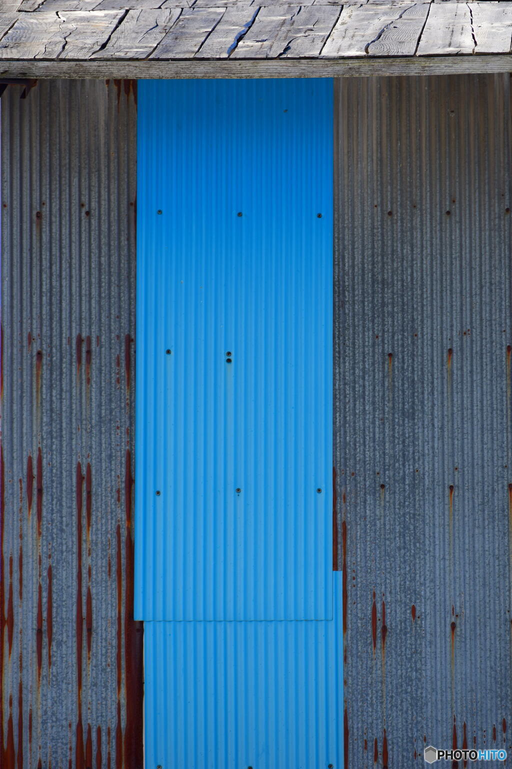 DSC_5275