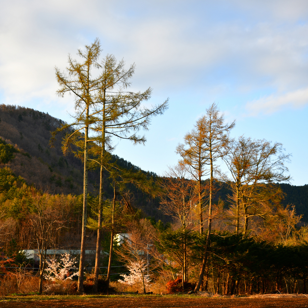 木山空