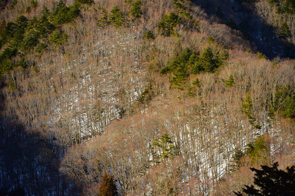 DSC_5040b