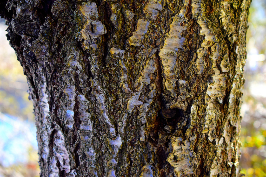 DSC_5387_01