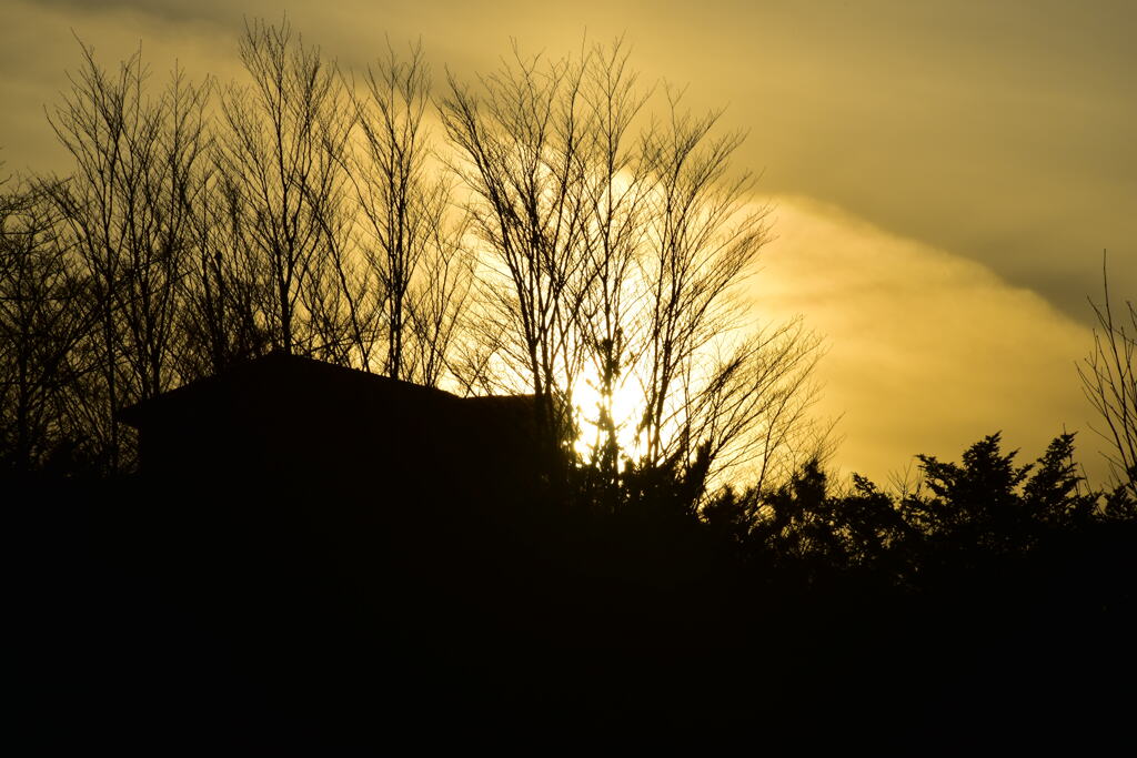 夕陽