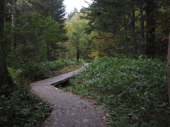 PA080305