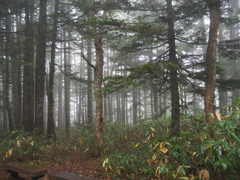 PA090317