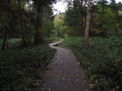PA080304