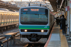 JR東日本 E231系 我孫子駅 成田線 常磐線 2023.03.04