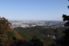 高尾登山鉄道 ケーブルカー 高尾山駅付近 2020.11.11