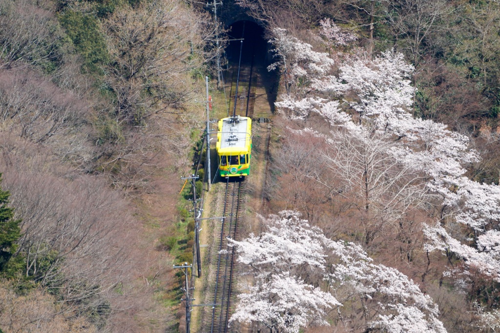 高尾登山鉄道 ケーブルカー 青葉号02 2020.03.27